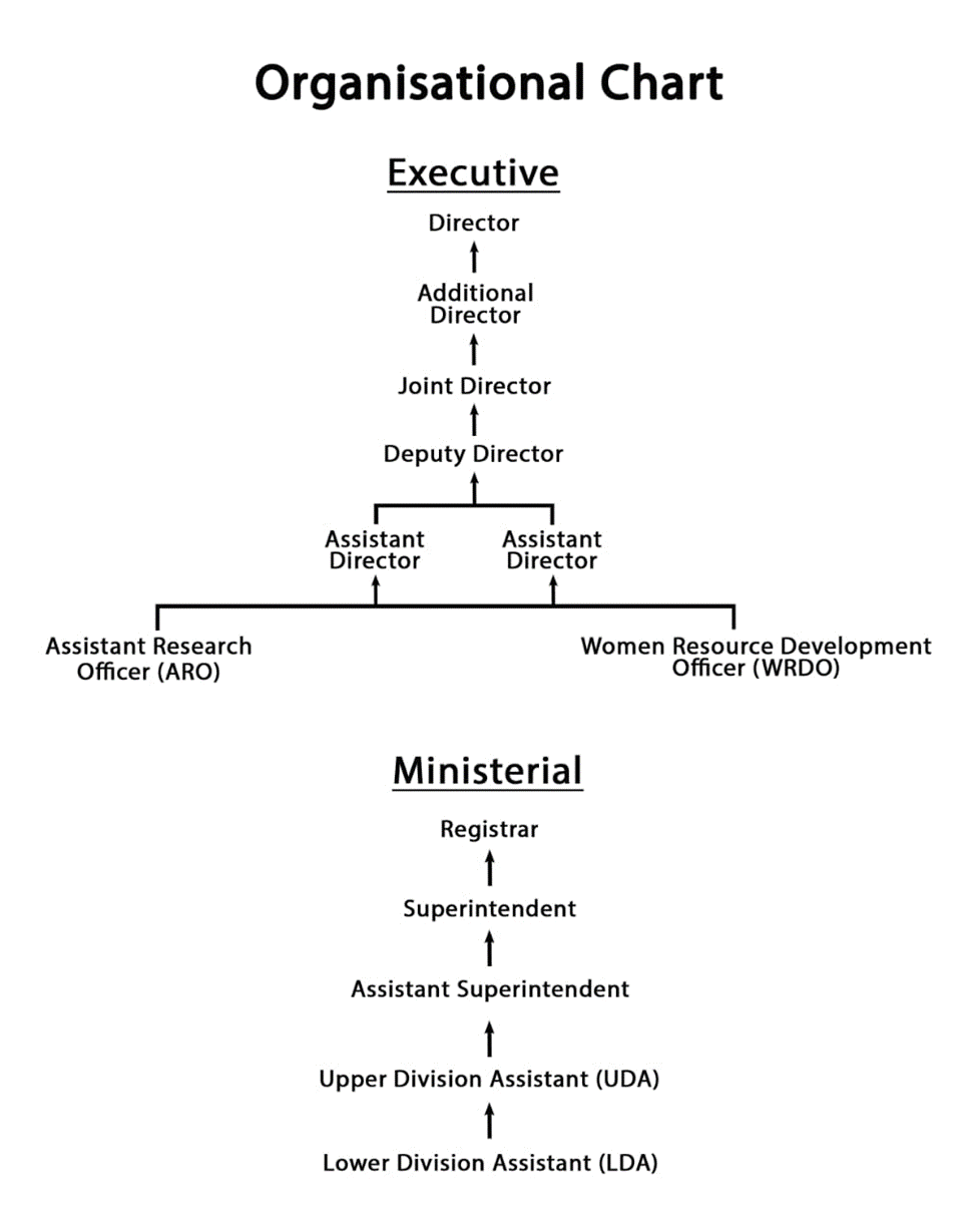 Organization Chart