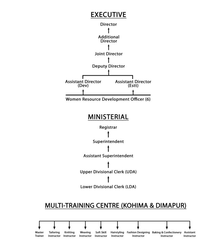 Organization Chart